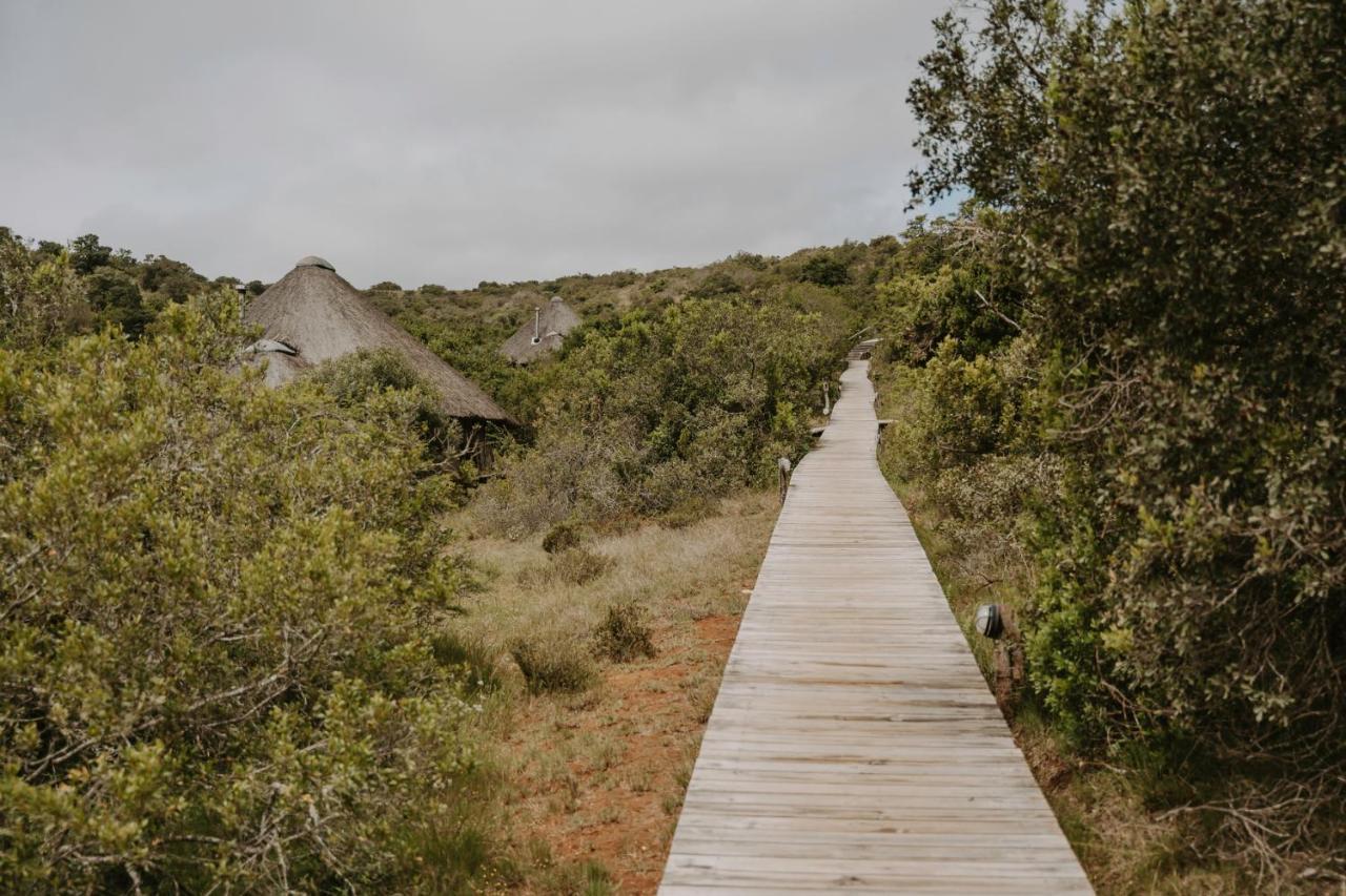 Bukela Game Lodge - שמורת הטבע אמקאלה מראה חיצוני תמונה