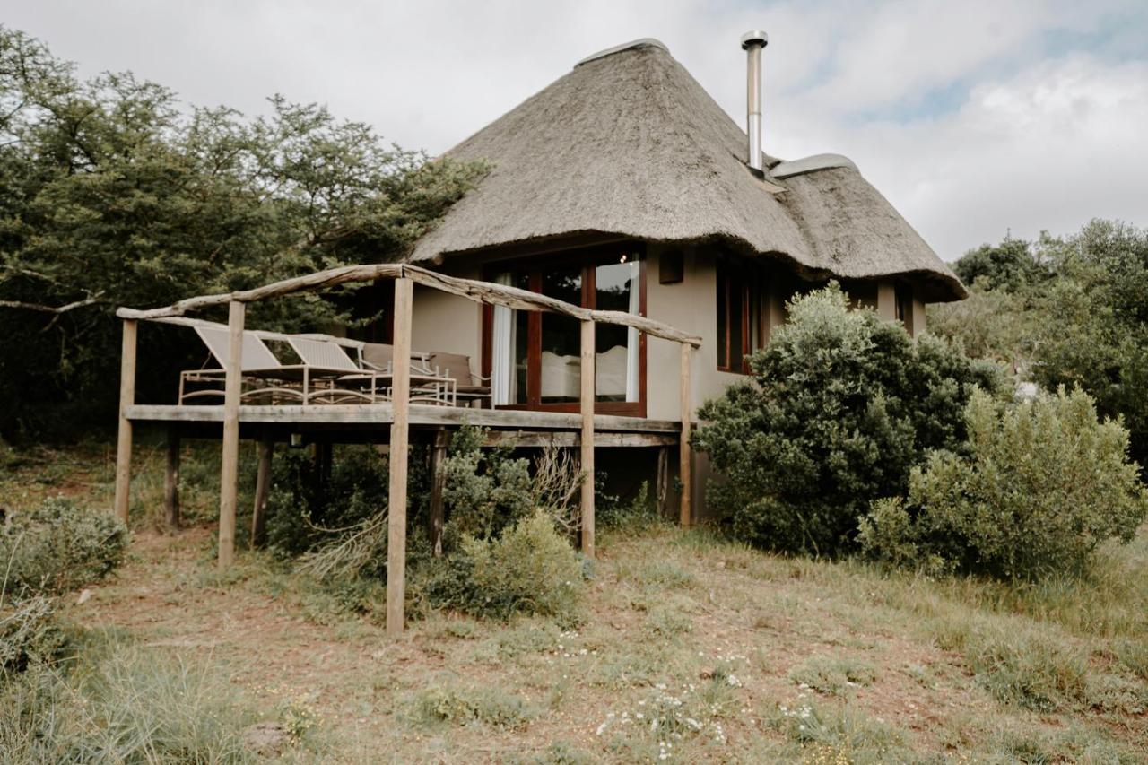 Bukela Game Lodge - שמורת הטבע אמקאלה מראה חיצוני תמונה