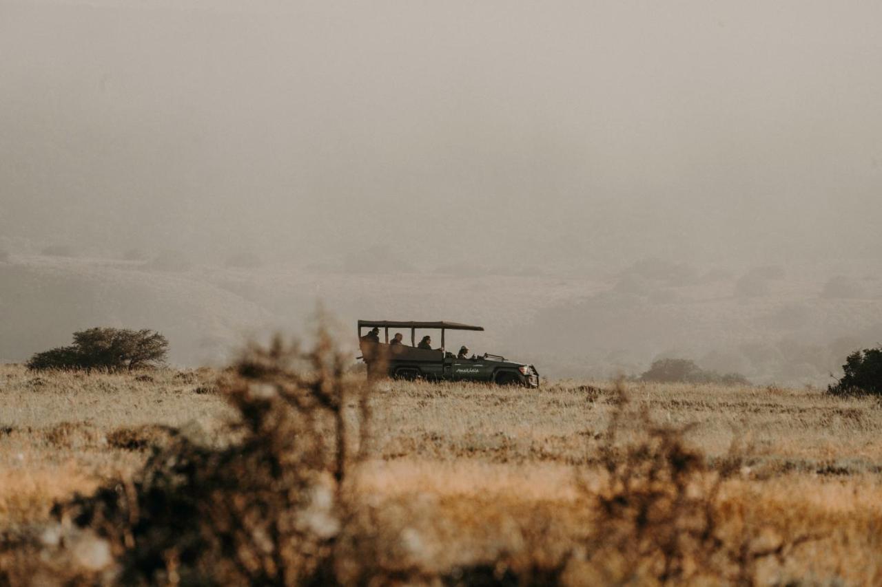 Bukela Game Lodge - שמורת הטבע אמקאלה מראה חיצוני תמונה