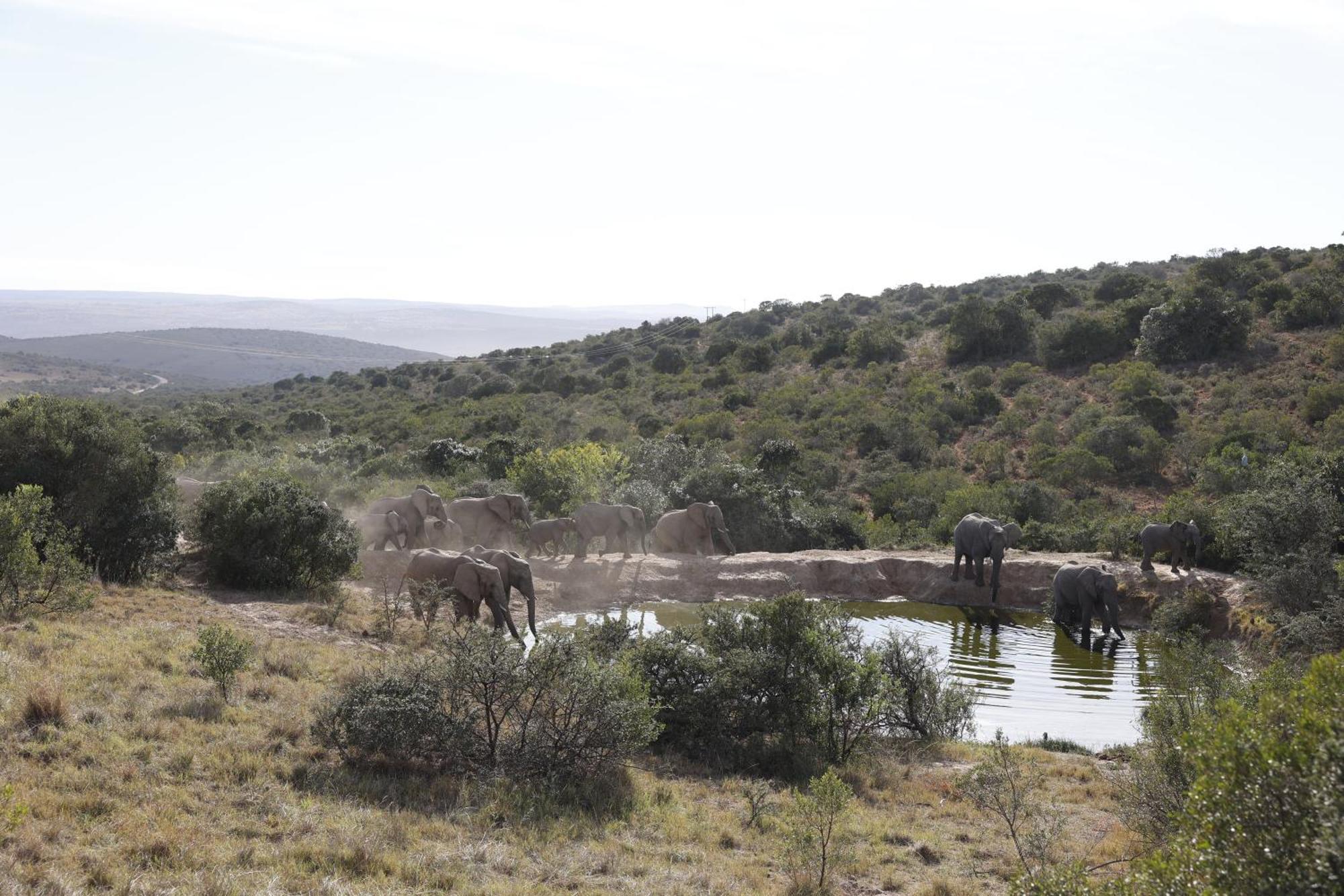 Bukela Game Lodge - שמורת הטבע אמקאלה מראה חיצוני תמונה